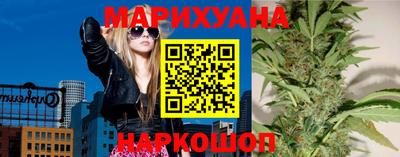 прущие грибы Гудермес