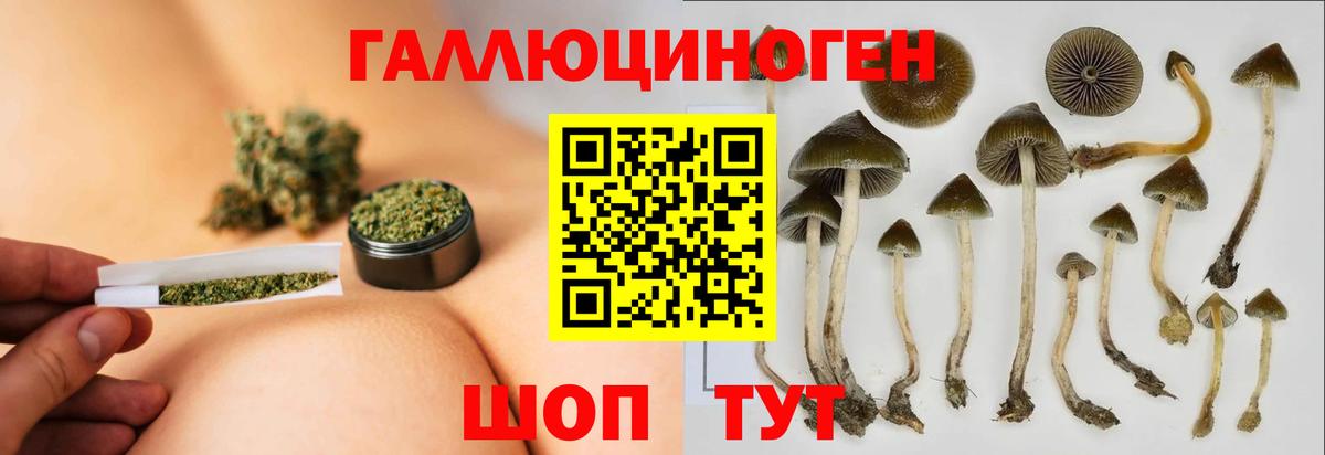 Галлюциногенные грибы MAGIC MUSHROOMS  Вход с VPN  Галлюциногенные грибы Magic Shrooms  купить наркоту  Большой Камень 